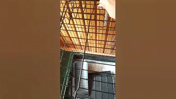 клетка для грызунов обзор