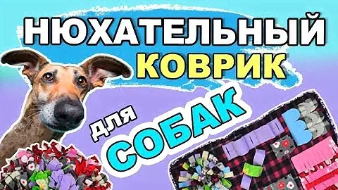 2 способа сделать нюхательный коврик для собаки