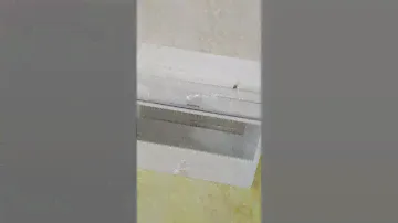 Пролётка для птиц.