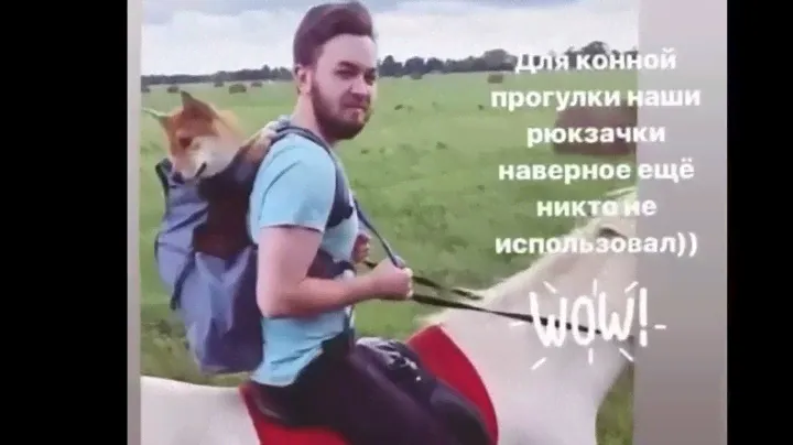 DogTalk РЮКЗАК ПЕРЕНОСКА ДЛЯ СОБАК