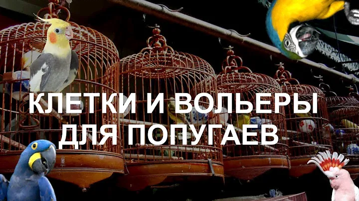 Всё про КЛЕТКИ и ВОЛЬЕРЫ ДЛЯ ПОПУГАЕВ