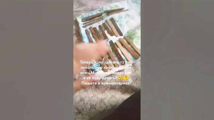 Буду делать кормушку для птиц из палочек от мороженного!мне снять видео?пишите в комментарии ❤️🐦🕊️
