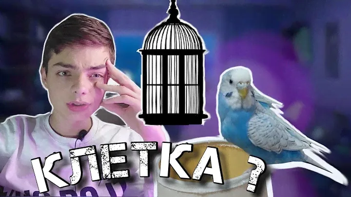 ВЫБИРАЮ КЛЕТКУ ПОПУГАЮ ! КЛЕТКА ДЛЯ ПОПУГАЯ | КАК ВЫБРАТЬ УДОБНУЮ КЛЕТКУ ДЛЯ ПОПУГАЕВ | ОБЗОР КЛЕТОК