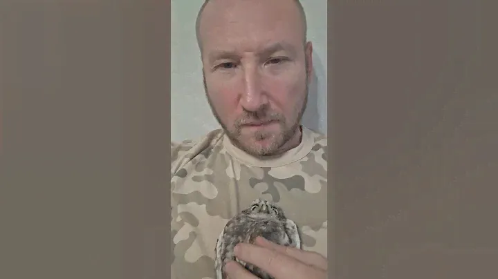 Сычиная ферма 😱😱😱 сыч Кузя главный предводитель 🤘🤘🤘