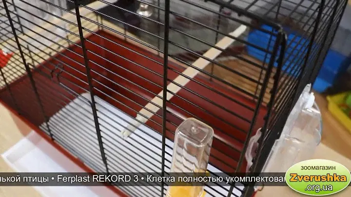 Клетка для попугая или маленькой птицы • Ferplast REKORD 3